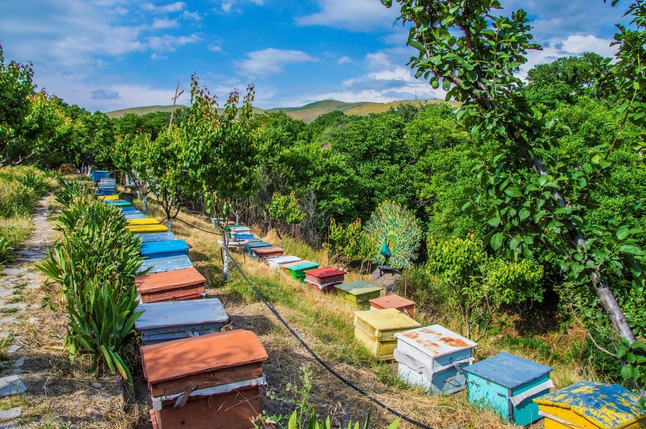 Гостевой дом HyeLandz Eco Village Resort Гегадир-38